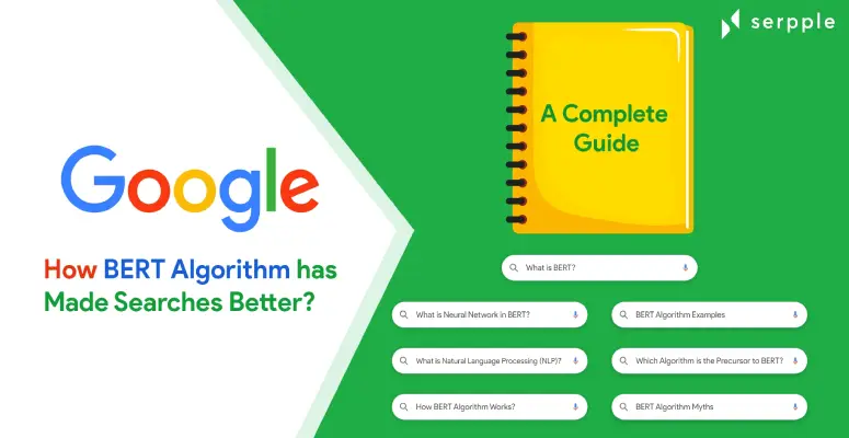 BERT Algorithm Update