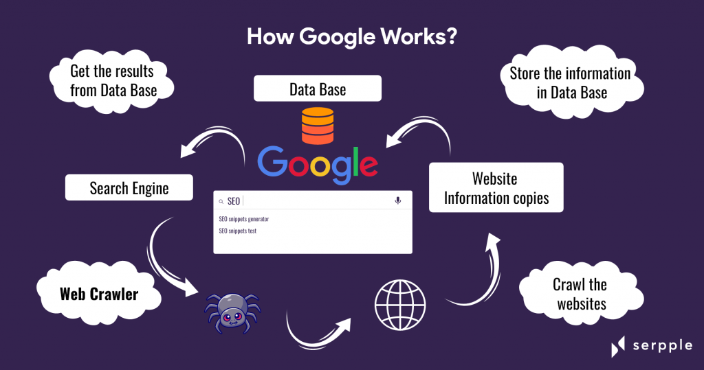 How search engines work