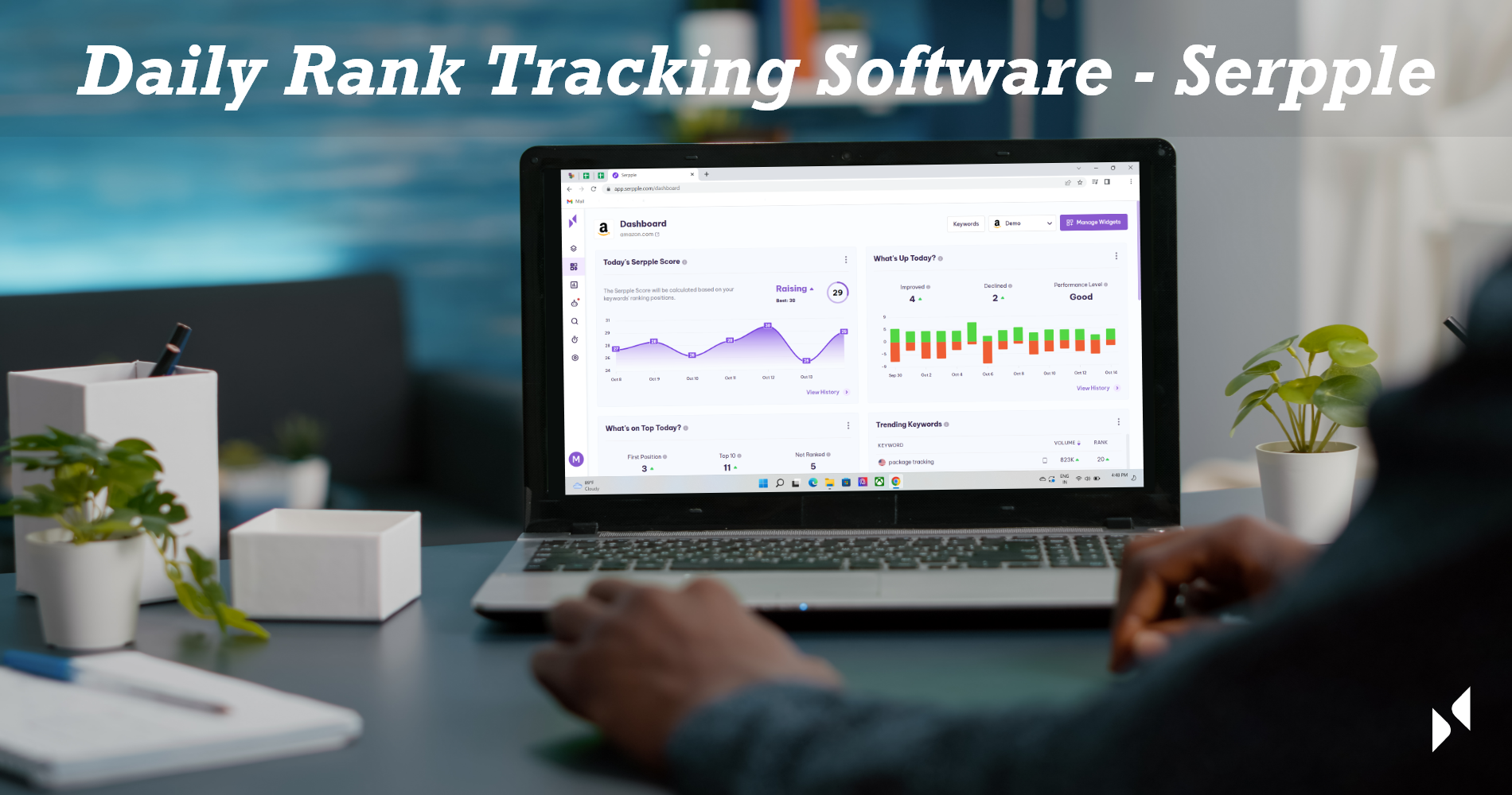 daily rank tracking software