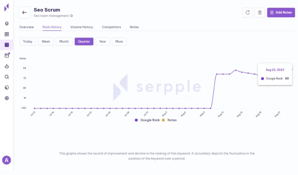 Seo team management