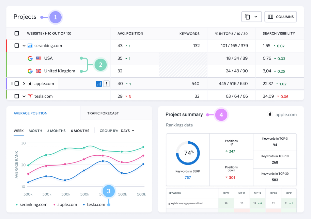 se ranking dashboard