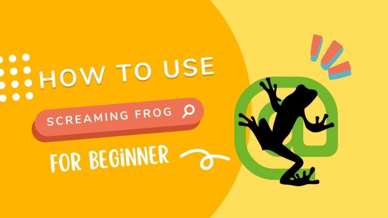 How To Use Screaming Frog for Technical Audit (Beginner Guide)